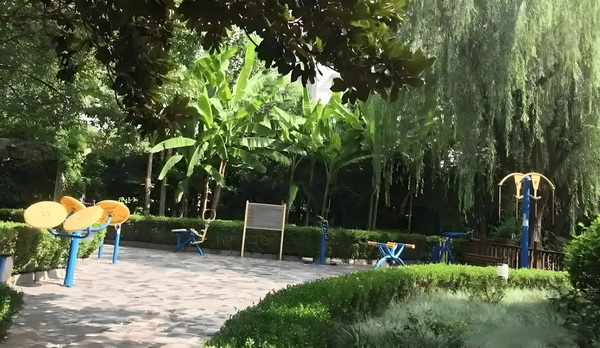 本科生怎么申请深圳户口_汪小菲带儿女到内蒙古，玥儿骑马他牵马 汪小菲带儿不做好好的设计师